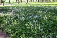 Killikus&reg; Fotographie